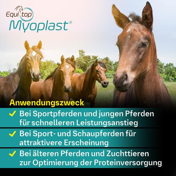 EQUITOP Myoplast Muskelaufbau Granulat für Pferde 1,5 kg