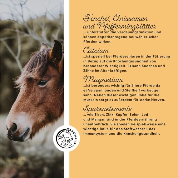 Annimally Senior Mineralfutter Pferde getreidefrei 6 kg - getreidefreies Ergänzungs Pferdefutter für Senior Pferde mit Vitaminen, Mineralstoffen und Spurenelementen, wie Zink, Selen, Omega 3 & Jod