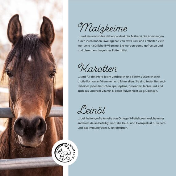 Annimally Selen, Vitamin E, Lysin Pulver für Pferde - Pferd Vitamin E, Lysin, Selen Komplex zur Unterstützung der Muskulatur & Leistung (2 kg Nachfüllpack)