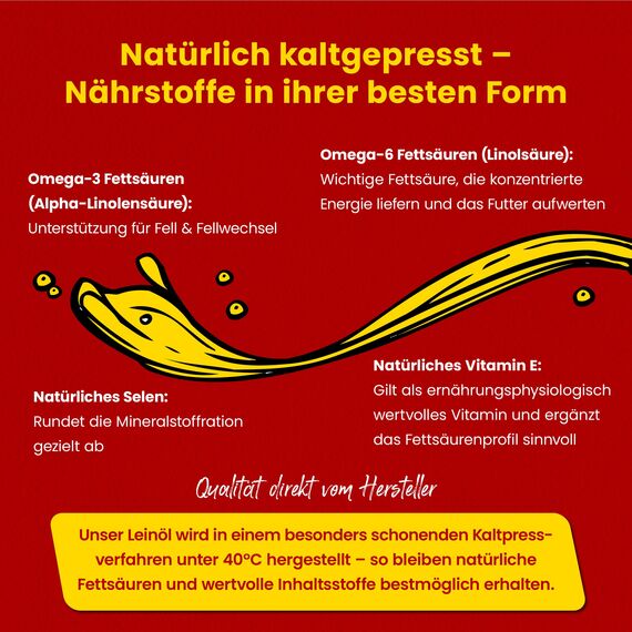 Scheidler horse-direkt Leinöl für Pferde, Hunde & Katzen 2X 5 Liter – Mühlenfrisch kaltgepresstes Leinsamenöl ohne Zusätze – Reich an Omega 3 & 6 für Fellwechsel/Barf Öl– Aus Deutschland