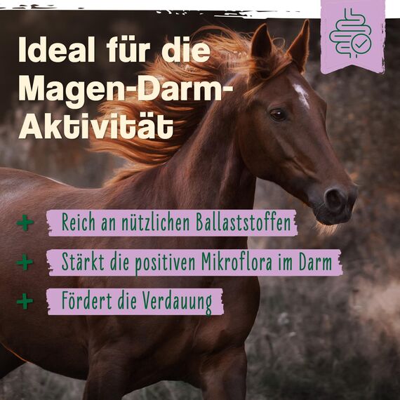 Ida Plus - Bierhefe Bt - 6kg - Futterergänzung für Pferde & Ponys - für glänzendes Fell & kräftige Haut - unterstützt Verdauung & Darmflora - reich an B-Vitaminen, Mineralien & Spurenelemente