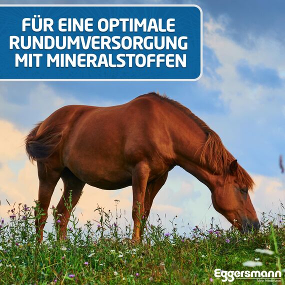 Eggersmann Mein Pferdefutter Golden Mineral 8 kg – Mineralfutter für Pferde & Ponys – Nährstoffreiches Pferdefutter zur optimalen Rundumversorgung – Zur Ergänzung des Grundfutters