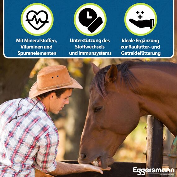 Eggersmann Mein Pferdefutter Mineral Bricks 4 kg - Mineralfutter für Pferde - Zur Unterstützung des Stoffwechsels & Immunsystems - Pferdefutter mit Mineralstoffen & Vitaminen