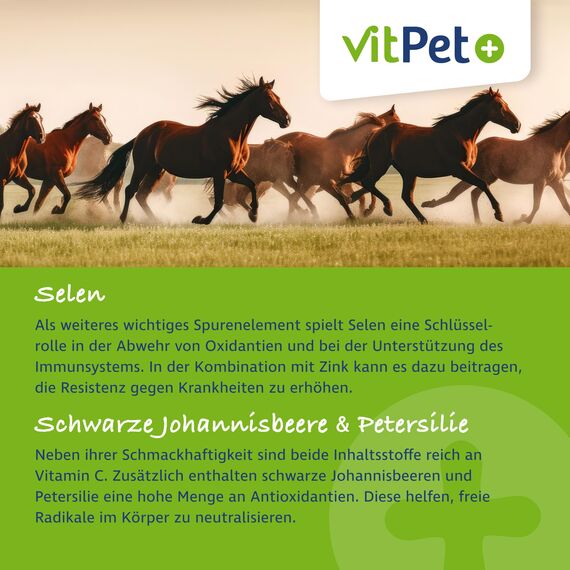 VitPet+ Zink Forte Plus - Premium Zink Pellets für Pferde - 1,8 kg - Hochdosiertes Zink Pferd - Plus Kupfer und Selen - Für Haut, Fell und Immunsystem - Inkl. Dosierlöffel