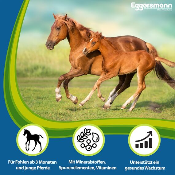 Eggersmann Mein Pferdefutter Osteomin Pellets 25 kg – Mineralfutter für Junge Pferde – Zur Unterstützung der Entwicklung wachsender Pferde – Pferdefutter mit ausgewogenem Calcium-Phosphor-Verhältnis