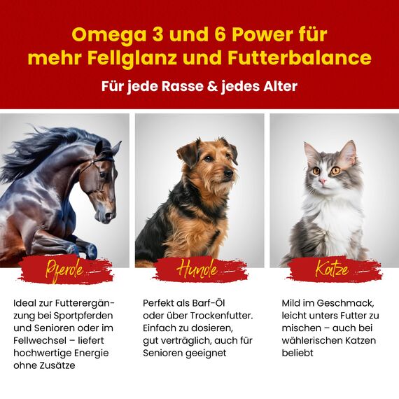 Scheidler horse-direkt Leinöl für Pferde, Hunde & Katzen 2X 5 Liter – Mühlenfrisch kaltgepresstes Leinsamenöl ohne Zusätze – Reich an Omega 3 & 6 für Fellwechsel/Barf Öl– Aus Deutschland