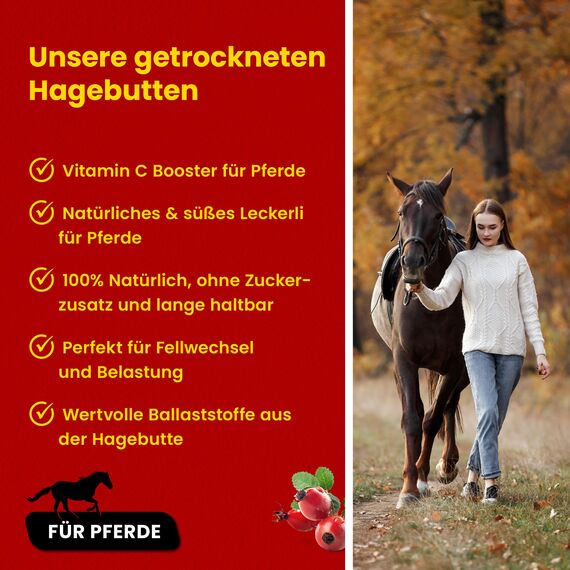 Scheidler horse-direkt Hagebutten getrocknet für Pferde 2kg – Ganze Hagebutte in Spitzenqualität – 100% Natürlicher Vitamin C Booster – Ideales Pferdeleckerli/Zusatzfutter ohne Zuckerzusatz