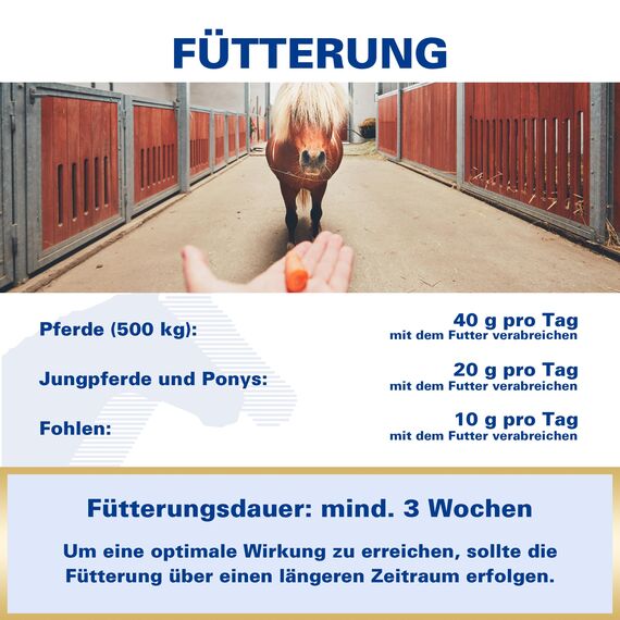 EQUIPUR - zink forte - Sicher versorgt mit organischem Zink und Selen, 1000 g Pellets in Dose