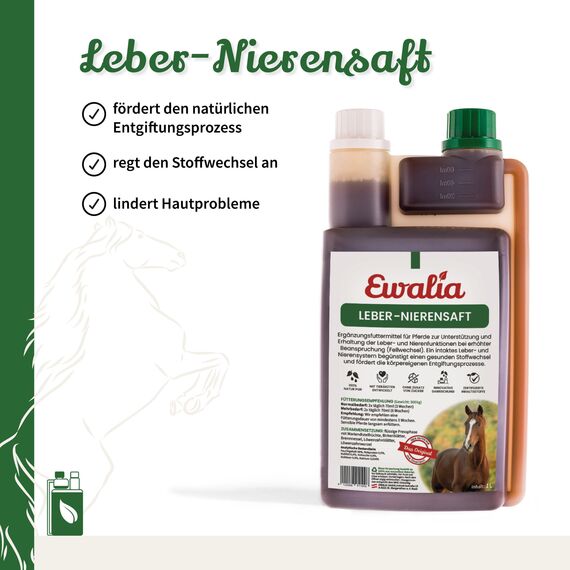 NEU! EWALIA Leber-Nierensaft - Vitalisierendes Ergänzungsfuttermittel für Pferde, Unterstützung für Leber und Nieren während des Fellwechsels, Natürliche Entgiftungshilfe, 100% Natur pur, 6x1 Liter
