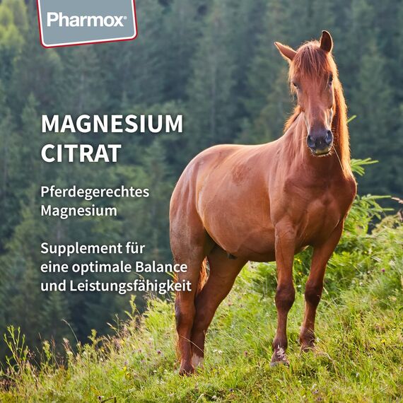 Pharmox Pferd & Pony Magnesiumcitrat (500 Gramm Pulver) - 100% aus reinem Magnesium ohne Zusätze - Hochdosiert - Ist gut für die Muskelfunktion - Für den Erhalt starker Knochen