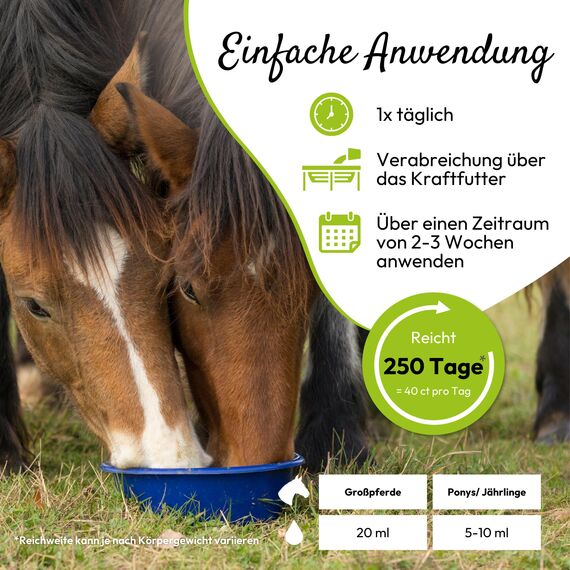 PHA Vitamin B-Komplex Pferd: unterstützt Nerven, Hufe, Fell und Stoffwechsel, Anti Stress Liquid für Pferde, zur Beruhigung, B Vitamine 5l