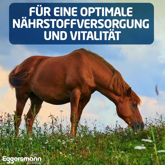 Eggersmann Mein Pferdefutter Kräutermineral getreidefrei 8 kg – Getreidefreies Mineralfutter für Pferde – Zur Unterstützung des Stoffwechsels – Für allergieempfindliche Pferde geeignet