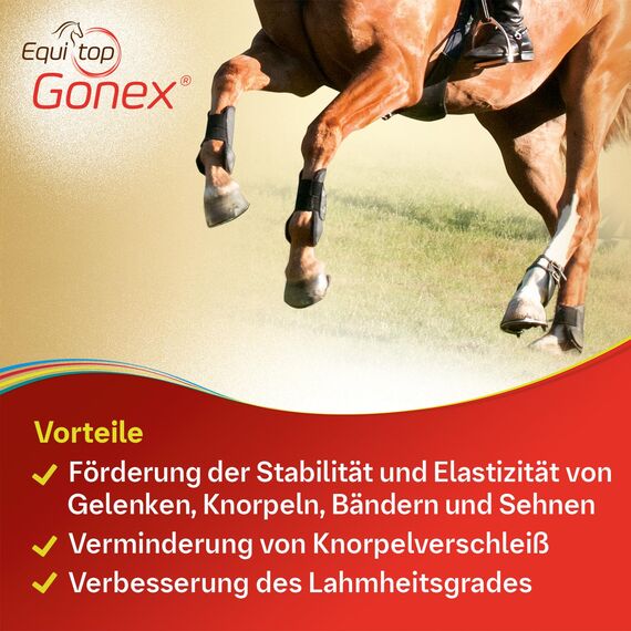EQUITOP Gonex Granulat für Pferde 750g