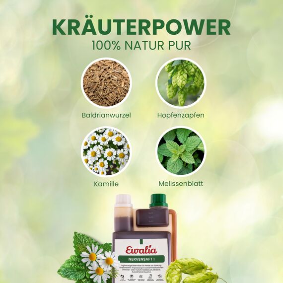 EWALIA Nervensaft I | 1 l | Ergänzungsfuttermittel für Pferde | Mit Baldrianwurzel