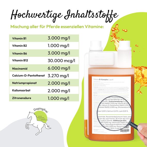 PHA Vitamin B Komplex Liquid für Pferde, gegen Stress, für Nerven, Haut, Fell, Hufe, bei B-Vitamine Mangel, zur Unterstützung der Regeneration, 1L