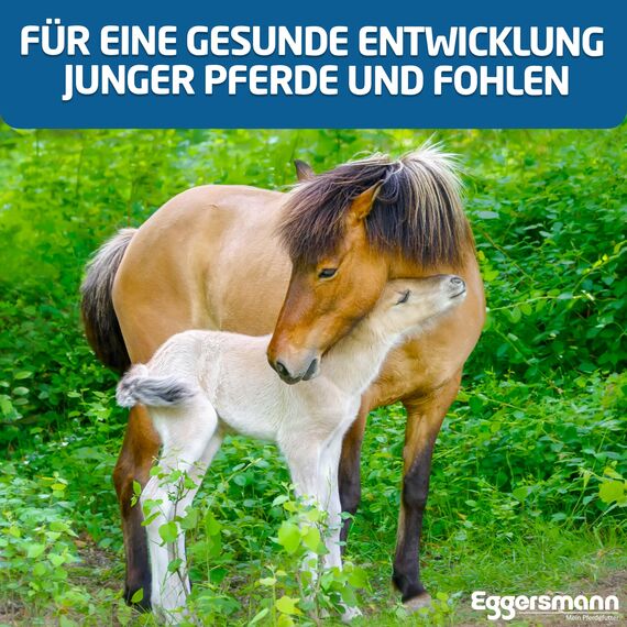 Eggersmann Mein Pferdefutter Osteomin Pellets 8 kg – Mineralfutter für Junge Pferde – Zur Unterstützung der Entwicklung wachsender Pferde – Pferdefutter mit ausgewogenem Calcium-Phosphor-Verhältnis