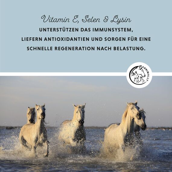 Annimally Selen, Vitamin E, Lysin Pulver für Pferde - Pferd Vitamin E, Lysin, Selen Komplex zur Unterstützung der Muskulatur & Leistung (2 kg Nachfüllpack)