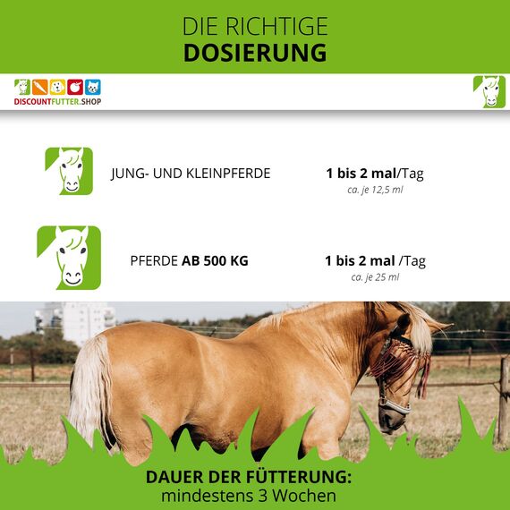 Mönchspfeffersaft für Pferde 1 Liter | stabilisiert die Stoffwechselabläufe bei Cushing-Pferden | rein pflanzliche Inhaltsstoffe |