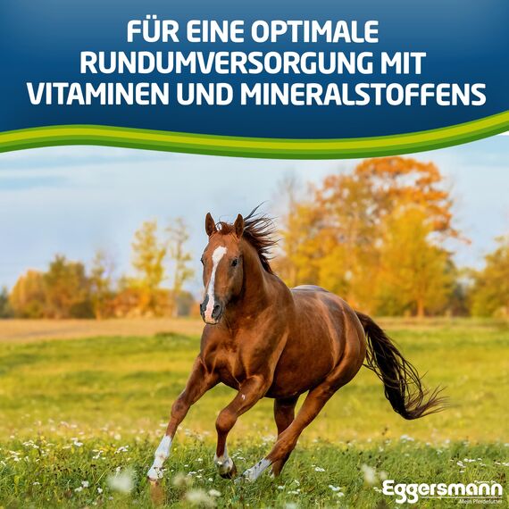 Eggersmann Mein Pferdefutter Horse Vital Plus 10 kg – Mineralfutter für Pferde Aller Art – Vitaminreiches Pferdefutter zur optimalen Rundumversorgung – Zur Ergänzung des Grundfutters