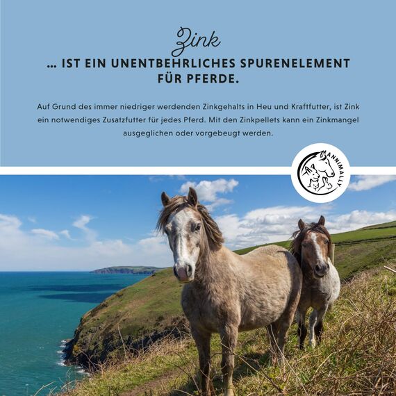 Annimally Zink für Pferde - Zink Pellets (2kg) hochdosiert mit Schwarzkümmel, Zeolith, Esparsette und Bierhefe für Haut, Haare & Hufe