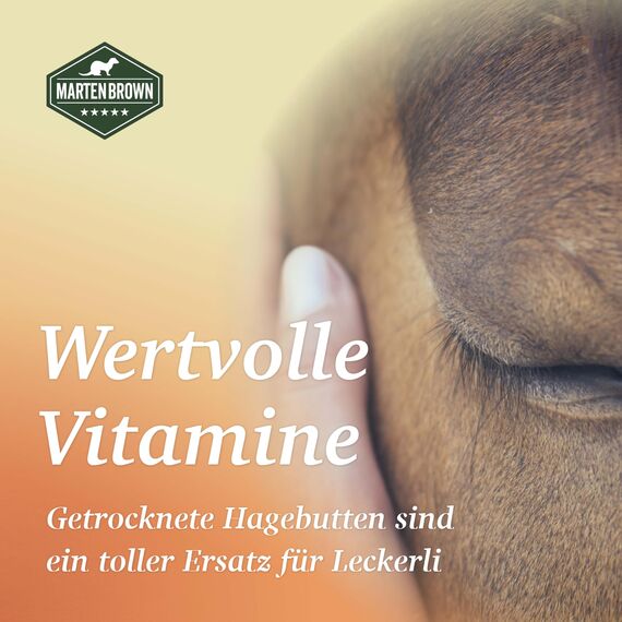 Martenbrown® Getrocknete Ganze Hagebutten 2,5kg – Natürliches Ergänzungsfutter für Pferde, Ponys und Esel – 100% Natur, Ohne Zusätze, Reich an Vitaminen