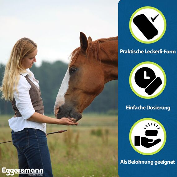Eggersmann Mein Pferdefutter Mineral Bricks 4 kg - Mineralfutter für Pferde - Zur Unterstützung des Stoffwechsels & Immunsystems - Pferdefutter mit Mineralstoffen & Vitaminen