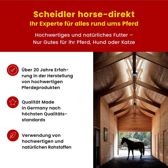 Scheidler horse-direkt Leinöl für Pferde, Hunde & Katzen 3 x 5 Liter – Mühlenfrisch kaltgepresstes Leinsamenöl ohne Zusätze – Reich an Omega 3 & 6 für Fellwechsel/Barf Öl – Aus Deutschland
