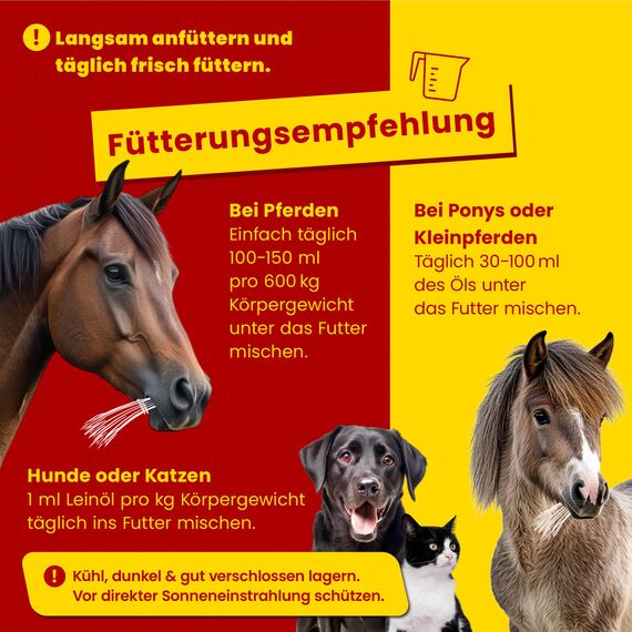 Scheidler horse-direkt Leinöl für Pferde, Hunde & Katzen 3 x 5 Liter – Mühlenfrisch kaltgepresstes Leinsamenöl ohne Zusätze – Reich an Omega 3 & 6 für Fellwechsel/Barf Öl – Aus Deutschland