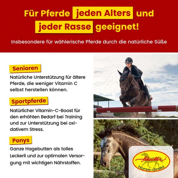 Scheidler horse-direkt Hagebutten getrocknet für Pferde 2kg – Ganze Hagebutte in Spitzenqualität – 100% Natürlicher Vitamin C Booster – Ideales Pferdeleckerli/Zusatzfutter ohne Zuckerzusatz