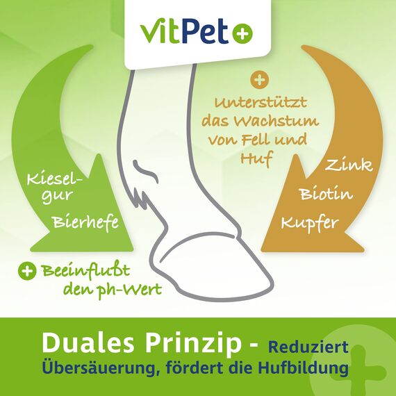 VitPet+ Huf Wohl – Spezial Mineralfutter Pferde – Mit Biotin, Zink, Kieselgur und Bierhefe – 4 kg – Zur Unterstützung des Hufwachstums – Inkl. Dosierlöffel (Packung mit 2)
