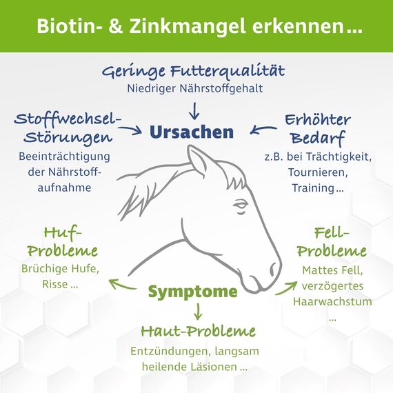 VitPet+ Biotin Plus Zink für Pferde – 1,2 kg – Ergänzungsfuttermittel mit Biotin & Zinkbisglycinat – für Haut, Fell & Hufe – hochdosiert – inkl. Dosierlöffel