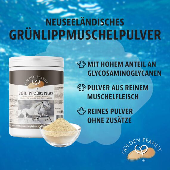 GOLDEN PEANUT Grünlippmuschelpulver 500 g - Neuseeland Muschel Extrakt Premium Qualität für Pferde und Ponys