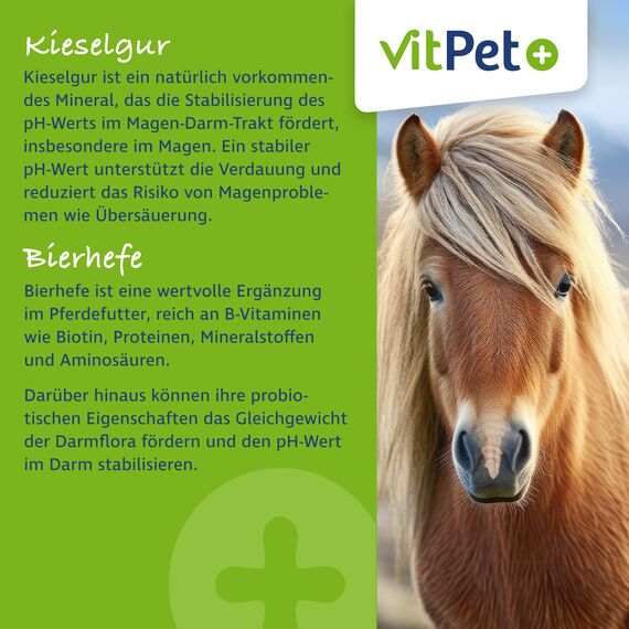VitPet+ Huf Wohl – Spezial Mineralfutter Pferde – Mit Biotin, Zink, Kieselgur und Bierhefe – 4 kg – Zur Unterstützung des Hufwachstums – Inkl. Dosierlöffel (Packung mit 2)
