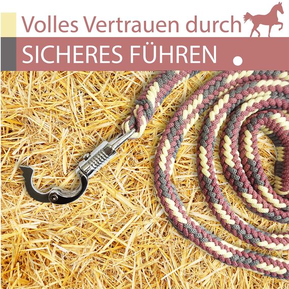 Führstrick Pferd Anbindestrick für Pferde mit stabilem Panikhaken Länge 2m viele Farben (Grau-Pastellrot-Creme)