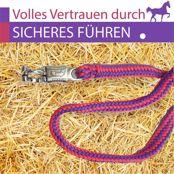 Führstrick Pferd Anbindestrick für Pferde mit stabilem Panikhaken Länge 2m viele Farben (Rot-Lila)