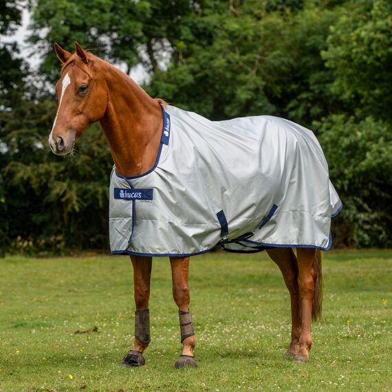 Bucas PowerTurnout Pferdedecke Light, stay-dry, 125 Silber