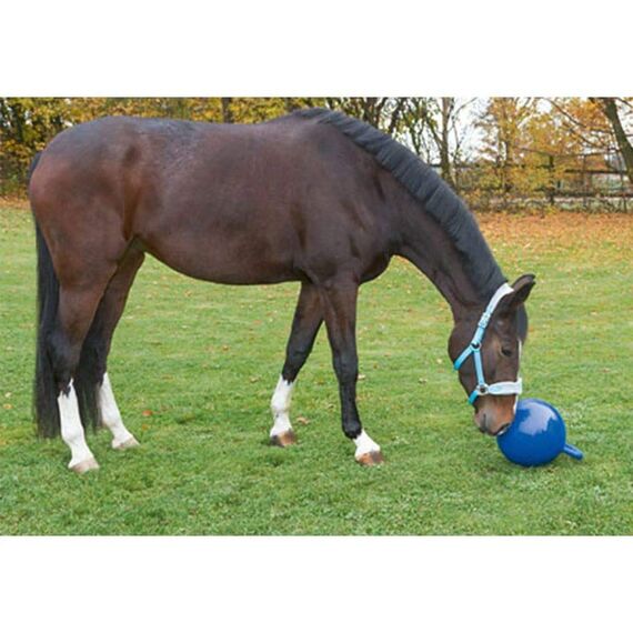 Kerbl Pferdespielball, Pferdespielzeug, Tierspielball, blau, PVC, Ø25cm, Pferde, mit Ventil, widerstandsfähig