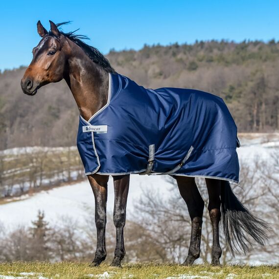 Bucas Freedom Turnout 155 Pferdedecke Light Navy/Silber