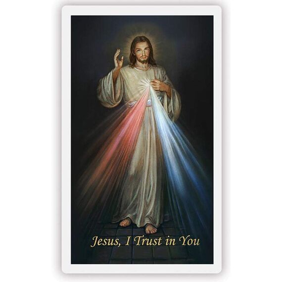 Jesus I Trust in You Divine Mercy Cardstock Laminierter Druck mit Chaplet auf Rückseite, katholische Heilige Gebetskarte, für Sonntagsschule, Kirche und Masse, 5,7 x 9,5 cm, 5 Stück