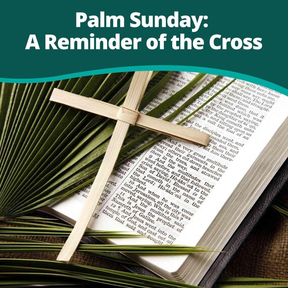 Concordia Supply Palm Sunday Outreach Palm Crosses - Dried African Palm Crosses 6" x 4.5" (Large, Pack of 50)