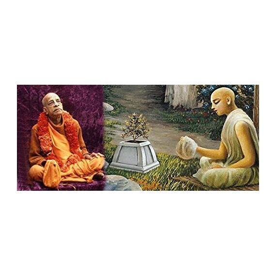 indianstore4all 8 mm Tulsi Heiliges Basilikum Japa Mala Gebetskette 108 Perlen Halskette handgeknotet. KARMA + 1 = 109. Gesegnet & energetisierte Hindu tibetisch-buddhistischen Subha Rosenkranz rot Tessel