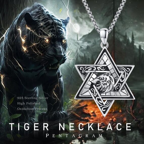 CUOKA MIRACLE Elegante Davidstern Kette 925 Sterling Silber - Hexagram Anhänger für Ehemann & Sohn - Besonderes Geschenk für Bar Mizwa, Geburtstag & Feiertage