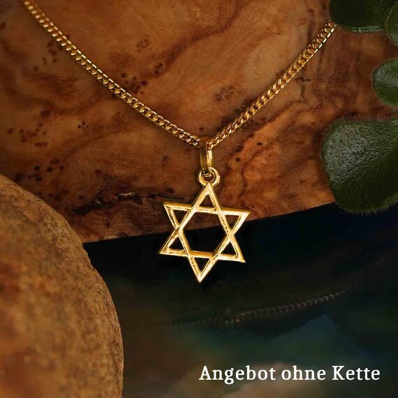 CLEVER SCHMUCK Goldener Anhänger kleiner Davidstern 12 mm glänzend offen 333 Gold 8 Karat im Schmucketui creme