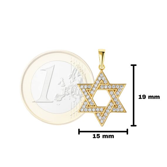 PRINS JEWELS 14 Karat 585 Gold Davidstern Mit Zirkonia Steinen Anhänger Gelbgold