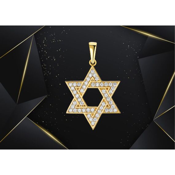 PRINS JEWELS 14 Karat 585 Gold Davidstern Mit Zirkonia Steinen Anhänger Gelbgold