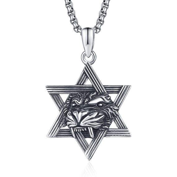 HXWZB Davidstern Halskette für Männer Sterling Silber Davidstern Anhänger Jüdischer Stern Löwe/Rabe/Wolf David Schmuck für Männer Frauen, Sterling Silber, Kein Edelstein