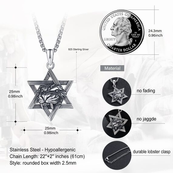 HXWZB Davidstern Halskette für Männer Sterling Silber Davidstern Anhänger Jüdischer Stern Löwe/Rabe/Wolf David Schmuck für Männer Frauen, Sterling Silber, Kein Edelstein
