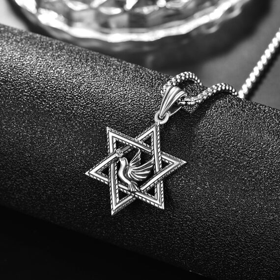 David Sterne Halskette Sterling Silber Davidstern Anhänger Kette Davidstern mit Taube Kette Taube Halskette David Stern Schmuck Geschenk für Herren Männer