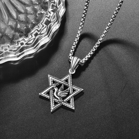 David Sterne Halskette Sterling Silber Davidstern Anhänger Kette Davidstern mit Taube Kette Taube Halskette David Stern Schmuck Geschenk für Herren Männer
