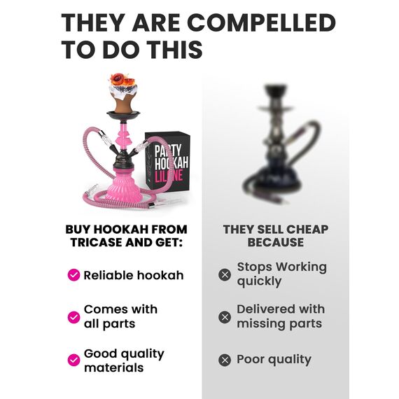 Shisha Set Klein mit 2 Schläuche - 30cm Rosa Mini Shisha - 2 Schlauch Shisha mit shisha zubehör 50x Folie + Shisha Tonkopf + 10x Spitzen 2x Mundstück Zange Tragbares Shisha Set mit allem Shisha-Kit